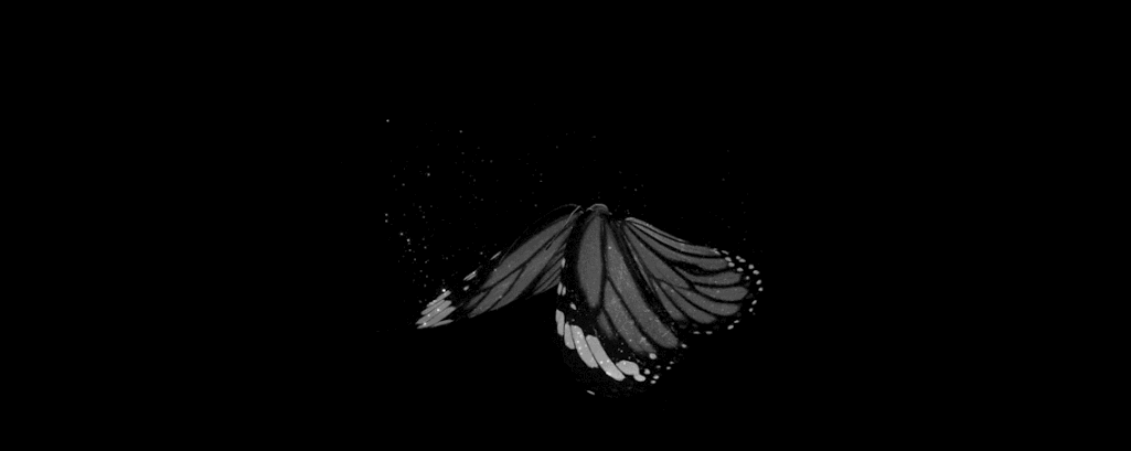 Name — basic info about me.